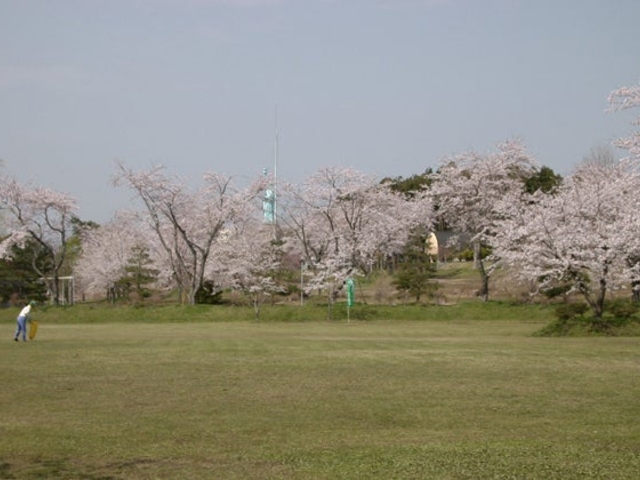 おいらせ町いちょう公園
