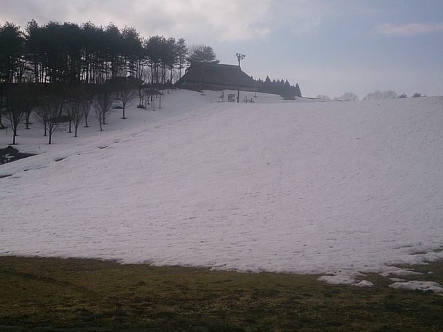 みどりの大地とロマンの森公園の写真3