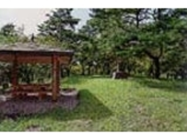 大洋公園の写真1