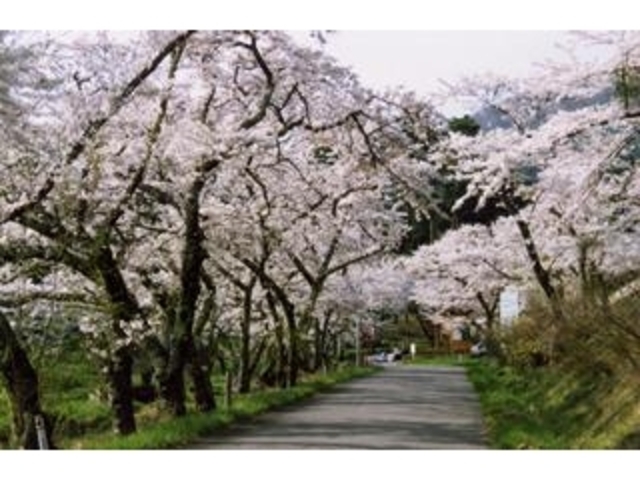 蟻塚公園の写真1