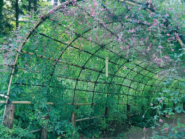 仙台市野草園