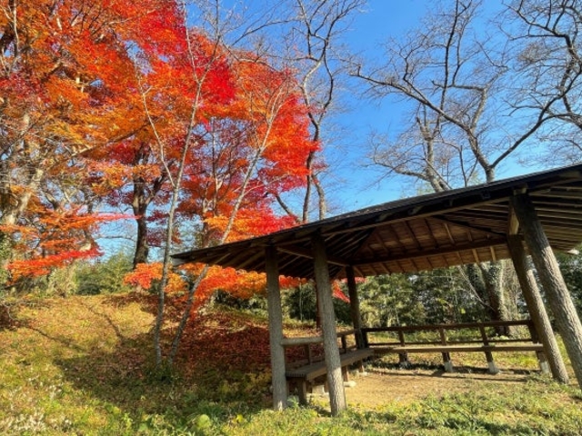 大窪城趾公園の写真1