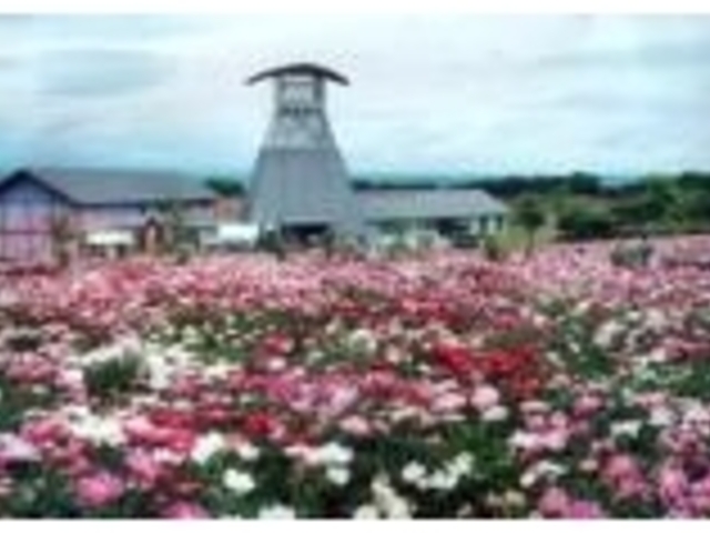 愛宕山公園