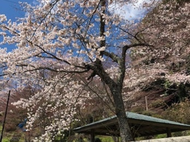 亀ヶ森公園の写真1