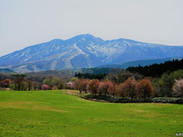 サボーカルチャーパークの写真1
