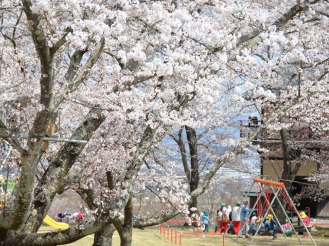 大森城山公園の写真1