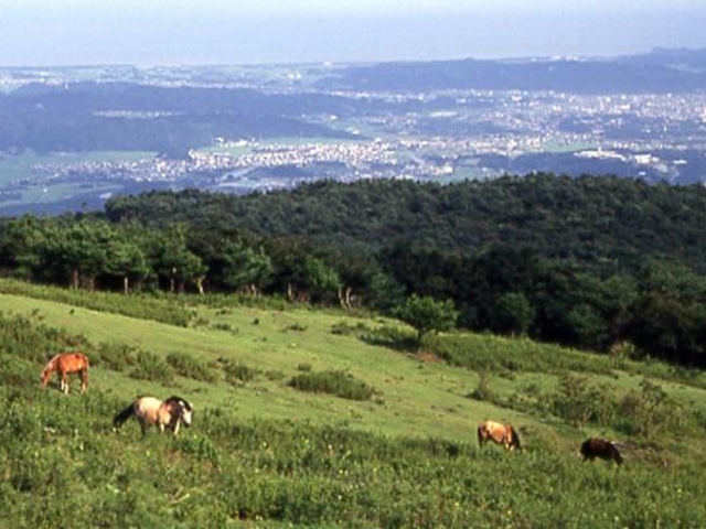 水石山公園の写真1