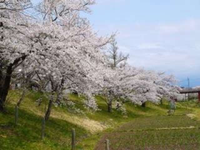 御殿場公園