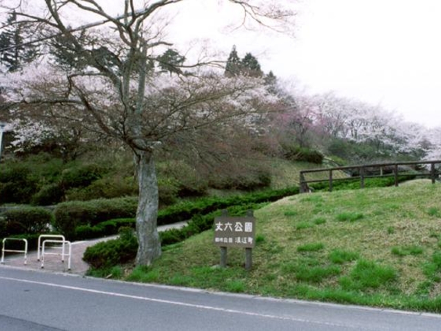 丈六公園の写真1