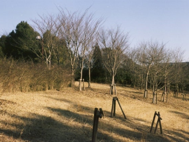 つくばの里向陽台公園_つくばの里向陽台公園
