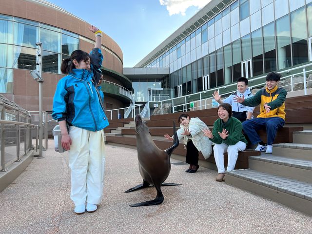 アシカのおさんぽ_アクアワールド茨城県大洗水族館