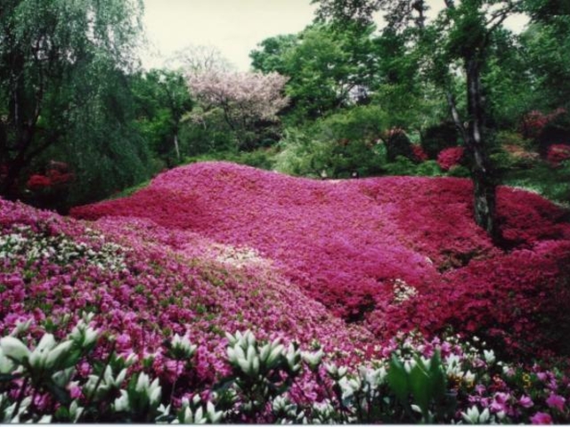 群馬フラワーハイランドの写真1