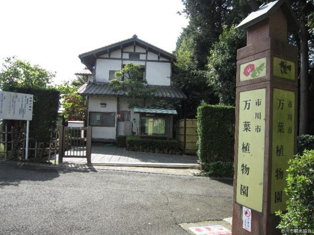 市川市万葉植物園_市川市万葉植物園