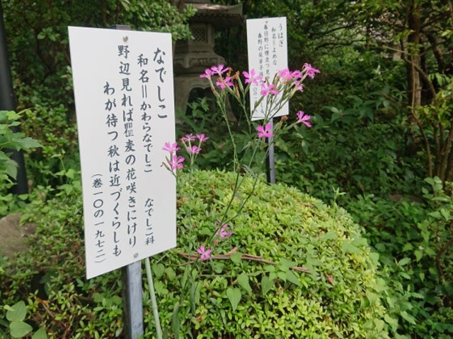 万葉庭園_万葉庭園