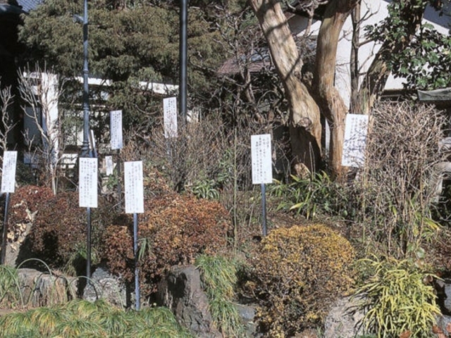万葉庭園_万葉庭園