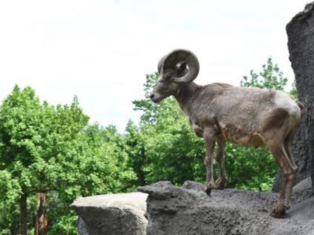 横浜市立金沢動物園