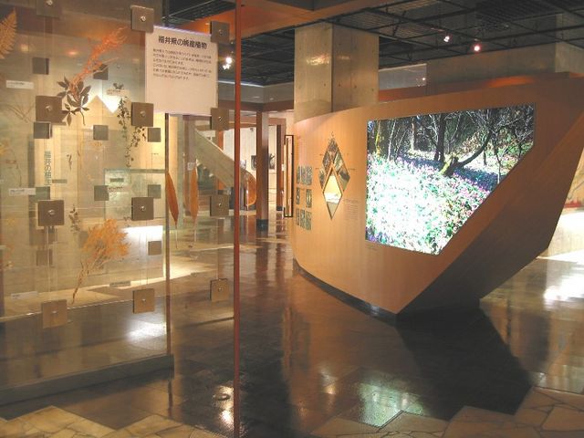 第1展示室_越前町立 福井総合植物園 プラントピア