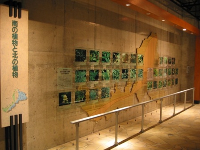 第1展示室
福井の重要な植物などが展示されています。_越前町立 福井総合植物園 プラントピア