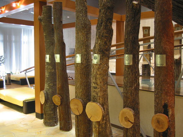植物館1階の通路には、12種類の木と年輪が飾られています。_越前町立 福井総合植物園 プラントピア