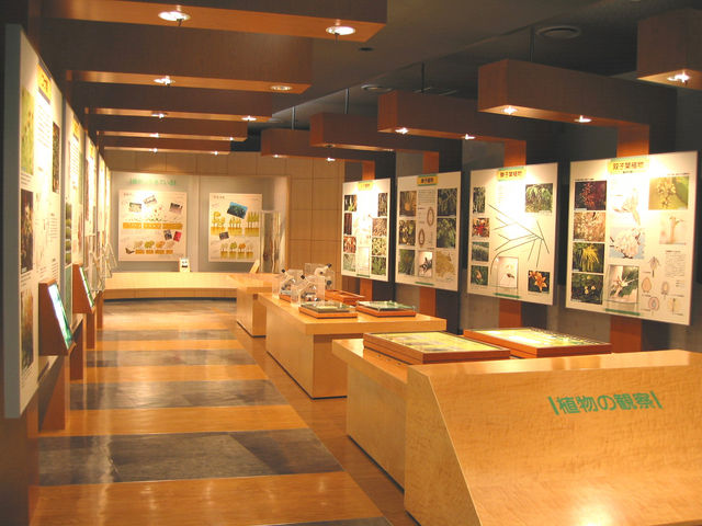 第2展示室
生物の分け方や簡単なクイズが楽しめます。_越前町立 福井総合植物園 プラントピア