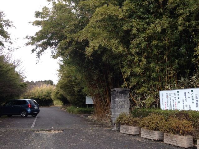 富士竹類植物園