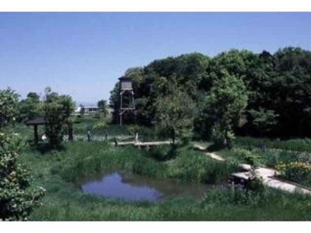 岩倉市自然生態園_岩倉市自然生態園