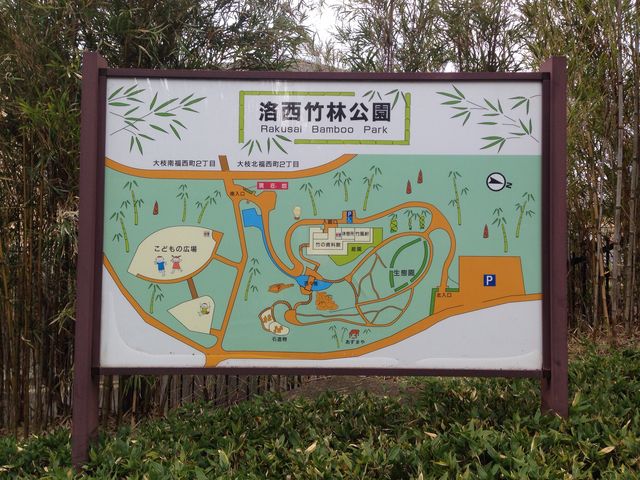 京都市洛西竹林公園