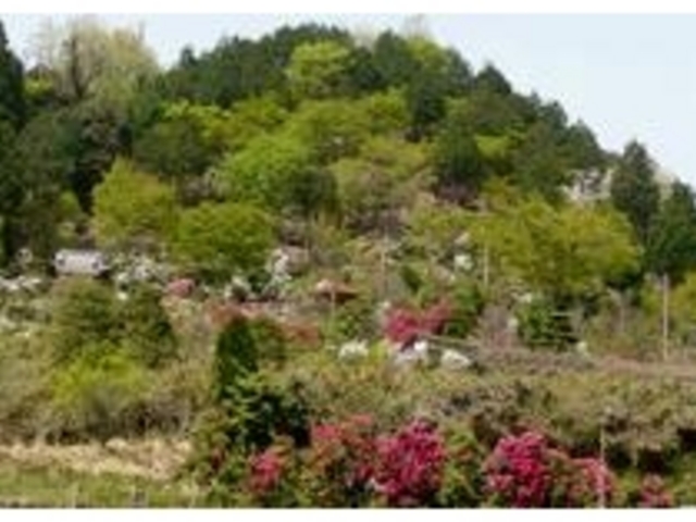 しゃくなげの里