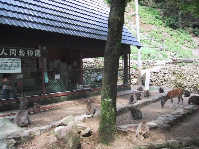 船越山るり寺モンキーパーク