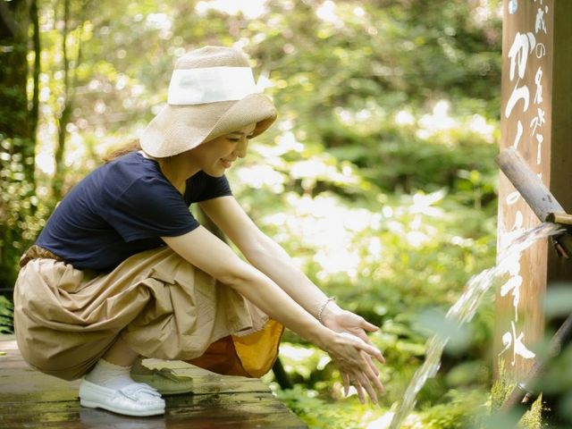 癒しの森 ナチュラルピュアガーデン 但馬高原植物園 (ツリーハウス&かまくらレストラン)