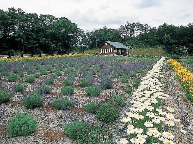 ハーブデイズ・アボンリー