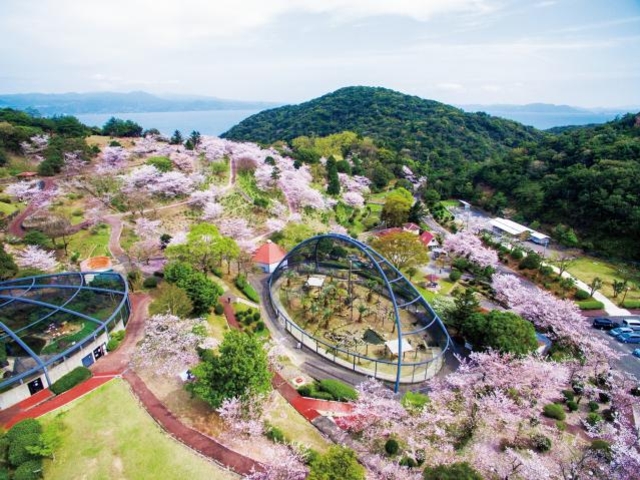 大崎くじゃく園