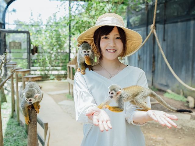 コモンリスザルとふれあい体験_東南植物楽園
