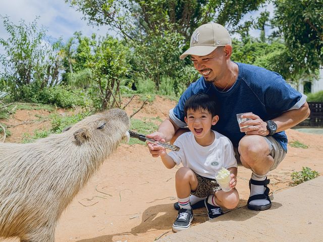 カピバラとのふれあいは人気です♪_東南植物楽園