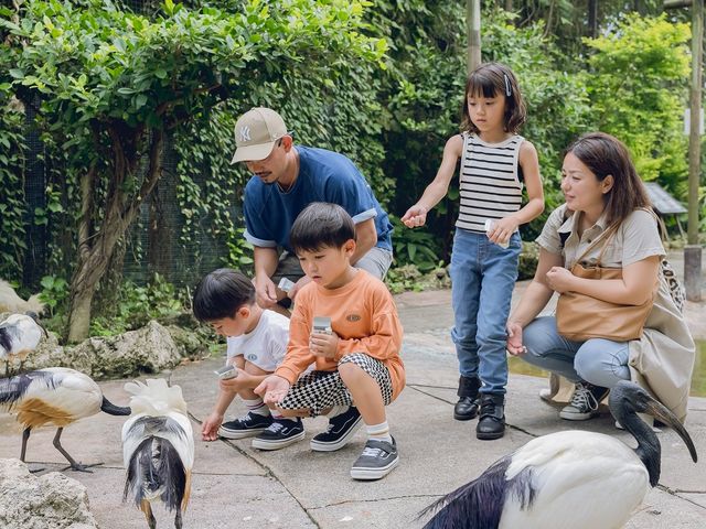 バードオアシスで鳥たちへおやつ体験_東南植物楽園