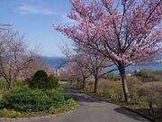 手宮緑化植物園の写真1