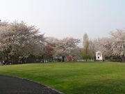 館山公園の写真1