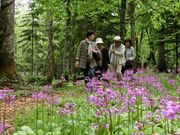 ノンノの森(町民の森自然公園)の写真1