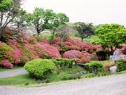 旧しゃくなげ公園の写真1