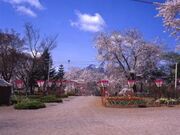 早掛沼公園の写真1