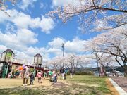 巽山公園の写真1