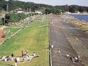 手樽海浜公園の写真1