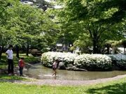 松ヶ池公園(白つつじ公園)の写真1