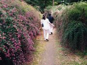 はぎ公園の写真3