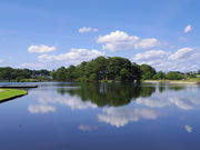 大池公園の写真1