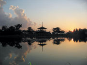 大池公園の写真2