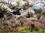 赤館公園の写真2