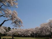 赤館公園の写真3