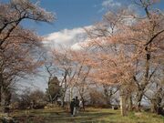城山公園の写真1