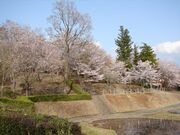 磯部桜川公園の写真1